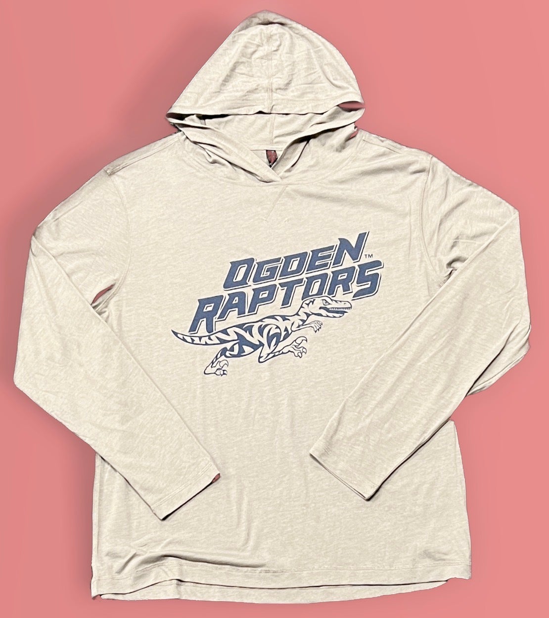 Ogden Raptors on X: A great Christmas gift for the special Baseball Fan at  home or the office. We are now selling all the Raptors Official Player Worn  Jerseys.  / X