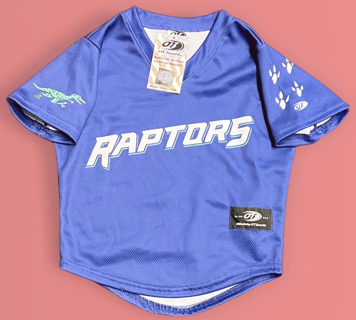Merchandise  Ogden Raptors