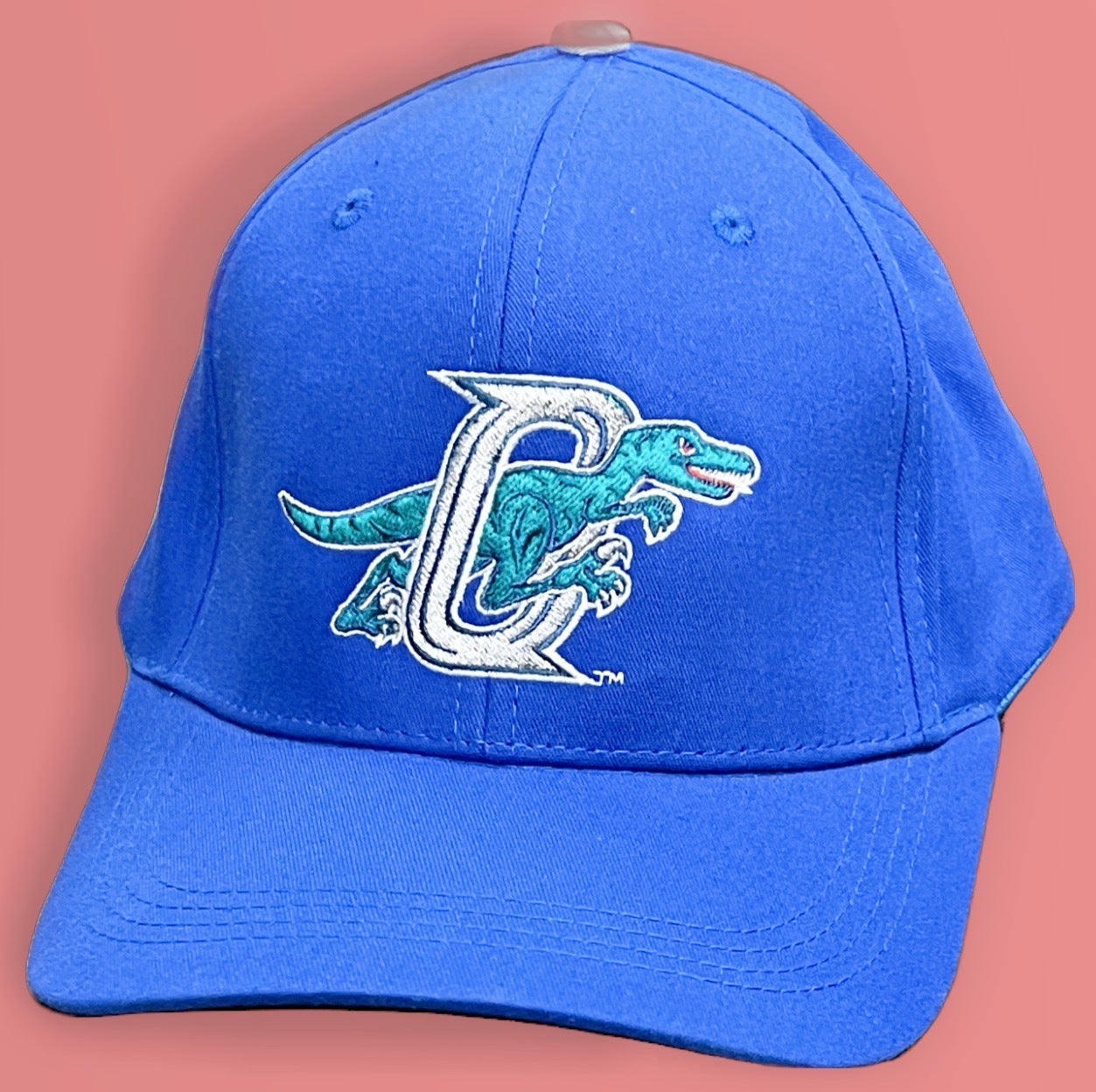 ogden raptors hat